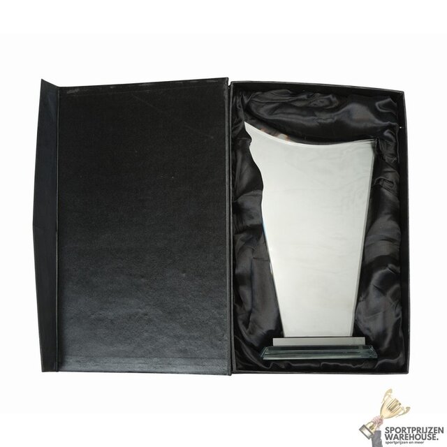 Luxe glazen award in verschillende afmetingen