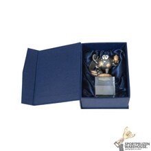 Presentatiebox H271