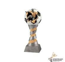 Mega voetbal award - 80 CM!!