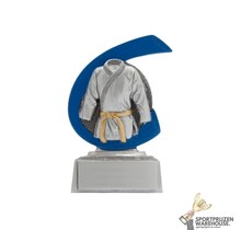 Judo award