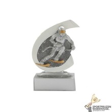 Wintersport award - FG271