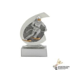 Wintersport award - FG271