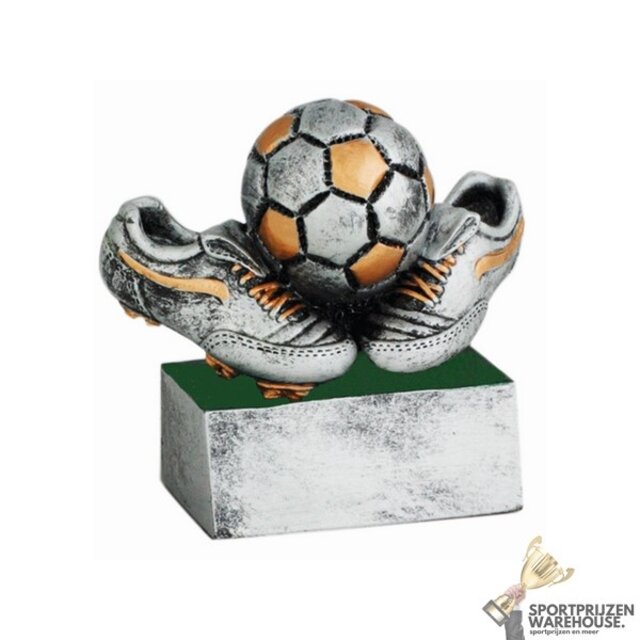 Luxe voetbal award  in diverse hoogtes Luxe voetbal award  in diverse hoogtes