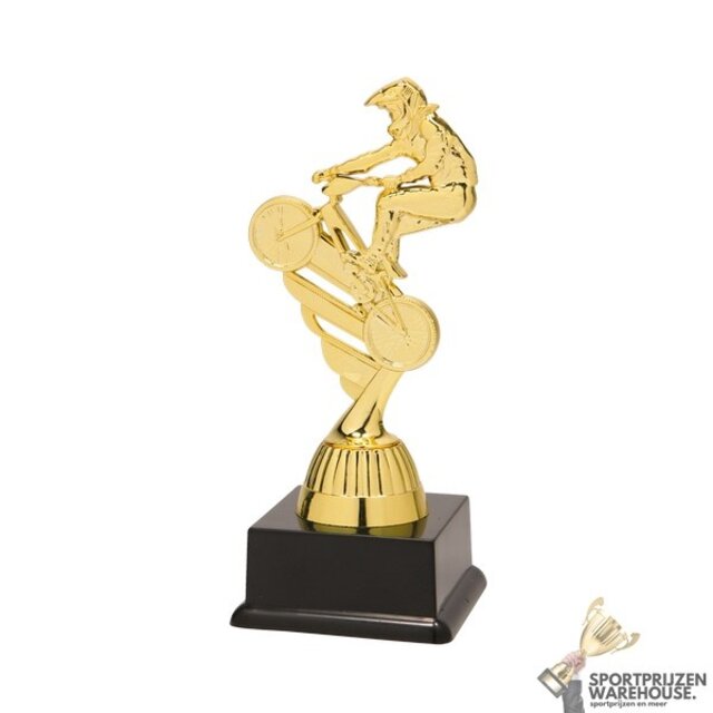 Voordelige gouden BMX trofee Voordelige gouden BMX trofee