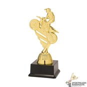 Motorcross beker - In het Goud of Antieklook