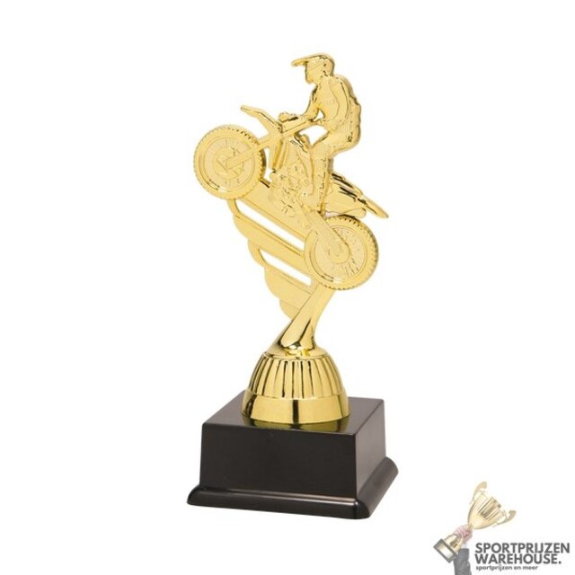 Voordelige gouden Motorcross trofee