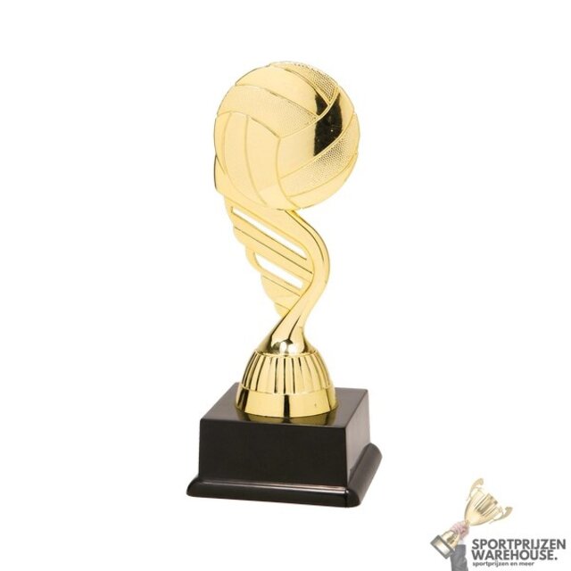 Volleybal sportprijs - In het Goud of Antieklook