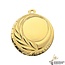 Medaille Udine