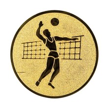 Volleybal heren afbeelding voor in Sportprijzen - A1.019