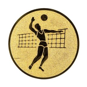 Volleybal heren afbeelding voor in Sportprijzen - A1.019