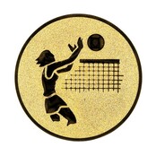 Volleybal dames afbeelding voor in Sportprijzen
