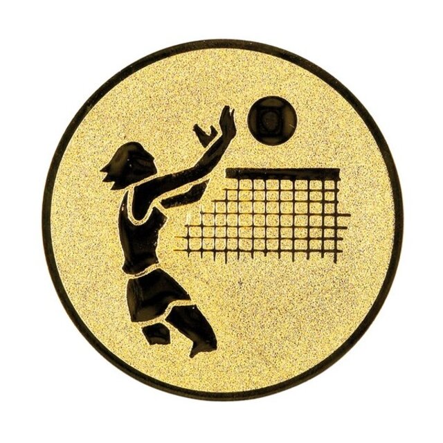 Volleybal dames afbeelding voor in Sportprijzen