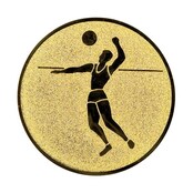 Volleybal afbeelding voor in Sportprijzen