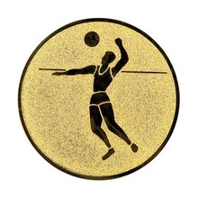 Volleybal afbeelding voor in Sportprijzen - A1.021