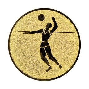 Volleybal afbeelding voor in Sportprijzen - A1.021