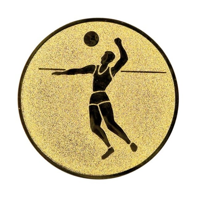 Volleybal afbeelding voor in Sportprijzen