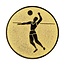 Volleybal afbeelding voor in Sportprijzen