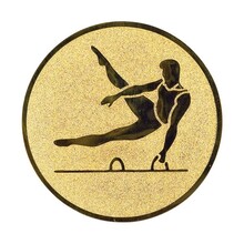 Turnen heren afbeelding voor in Sportprijzen - A1.043