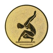 Turnen dames afbeelding voor in Sportprijzen