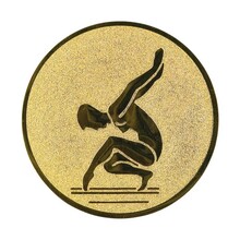 Turnen dames afbeelding voor in Sportprijzen - A1.044