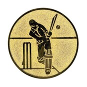 Cricket afbeelding voor in Sportprijzen