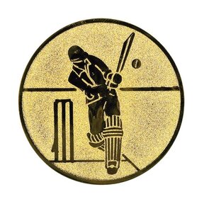 Cricket afbeelding voor in Sportprijzen - A1.112