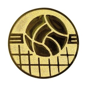 Volleybal afbeelding voor in Sportprijzen - A1.139