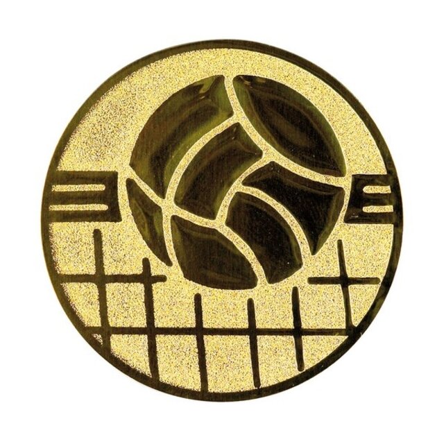 Volleybal afbeelding voor in Sportprijzen Volleybal afbeelding voor in Sportprijzen