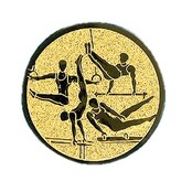 Turnen Heren II afbeelding voor in Sportprijzen