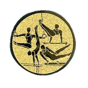 Turnen Heren II afbeelding voor in Sportprijzen - A1.150