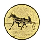 Paard Drafsport afbeelding voor in Sportprijzen