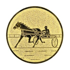 Paard Drafsport afbeelding voor in Sportprijzen - A1.157