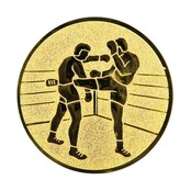 Kickboksen afbeelding voor in Sportprijzen