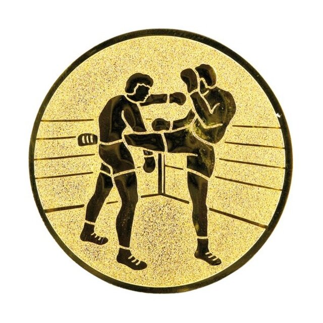 Kickboksen afbeelding voor in Sportprijzen