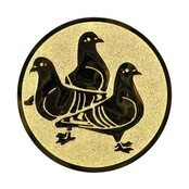 Vogels 3 Duiven afbeelding voor in Sportprijzen Vogels 3 Duiven afbeelding voor in Sportprijzen