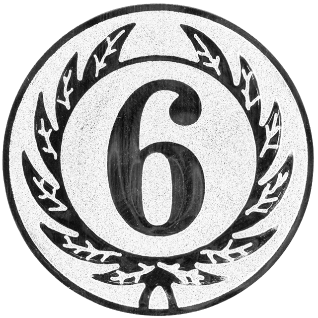 Nummer 6 afbeelding voor in Sportprijzen