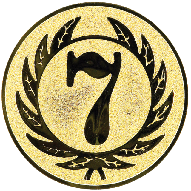 Nummer 7 afbeelding voor in Sportprijzen