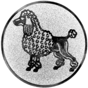 Poedel afbeelding voor in Sportprijzen