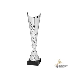Grote zilveren trofee - X302