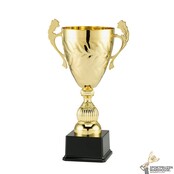 Luxe gouden trofee in diverse hoogtes Luxe gouden trofee in diverse hoogtes