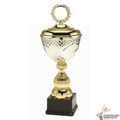 Bokaal met een gouden accent kleur Bokaal met een gouden accent kleur