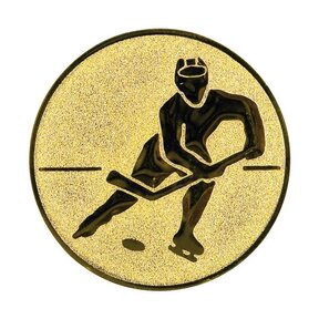 Ijshockey afbeelding voor in Sportprijzen - A1.099