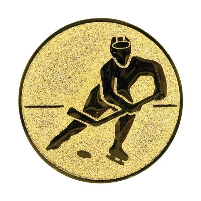 Ijshockey afbeelding voor in Sportprijzen Ijshockey afbeelding voor in Sportprijzen