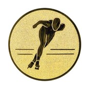 Schaatsen afbeelding voor in Sportprijzen