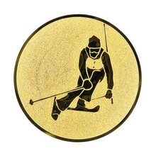 Ski afbeelding voor in Sportprijzen - A1.095