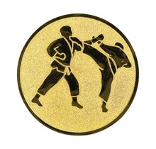 Karate afbeelding voor in Sportprijzen