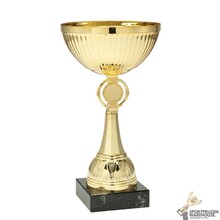 Leuke gouden award - SPOED - ET.350