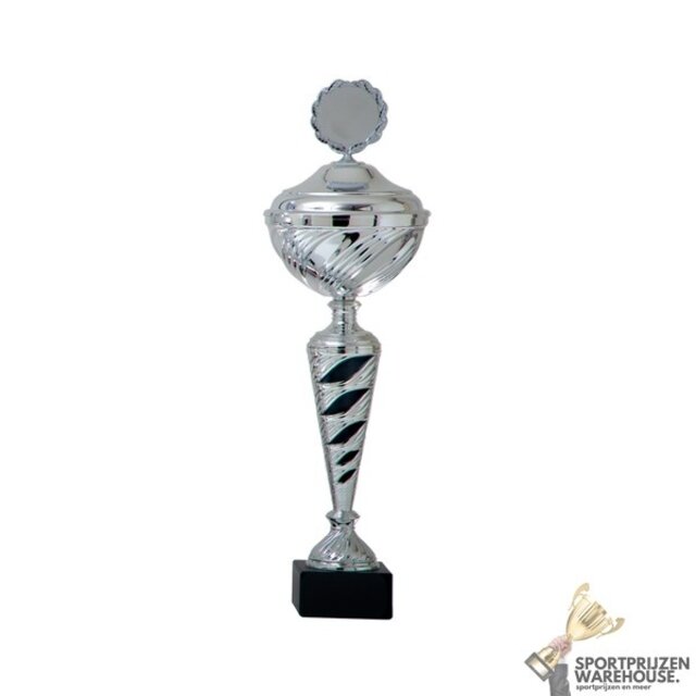 Zilveren trofee met zwart accent Zilveren trofee met zwart accent