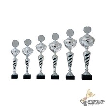 Zilveren trofee met zwart accent - AK5070