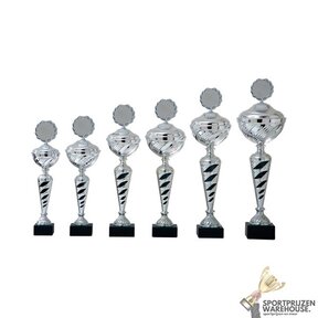 Zilveren trofee met zwart accent - AK5070